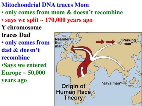 PPT - Evidence for macroevolution Strongest = Fossil Record order of fossils in sediments ...