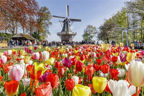 Keukenhof Gardens 2020 (Amsterdam, Holland) – Opening hours, prices and travel directions ...