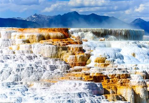 Mammoth Hot Springs Ultimate Guide - Yellowstone National Park