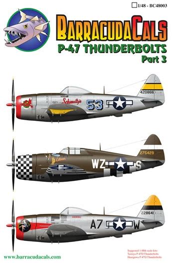 P-47 Thunderbolt Paint Schemes