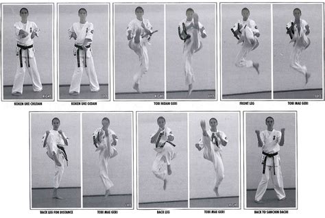 Kyokushin Karate Techniques