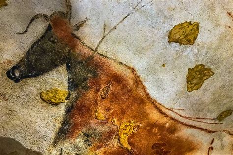 Scenes From The Stone Age – The Cave Paintings of Lascaux | Josette King