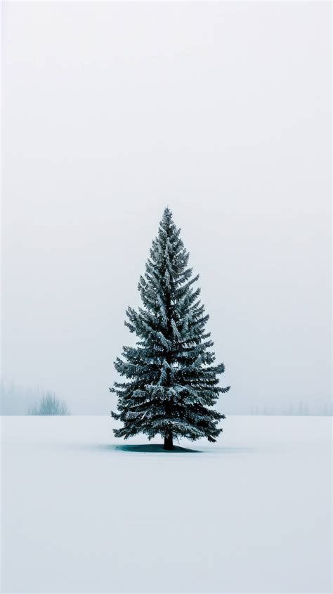 snowy tree landscape, lone tree in snow, winter scene, minimalistic ...