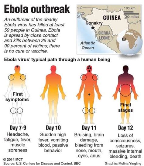 Ebola outbreak moving faster than we can control: WHO declares ...