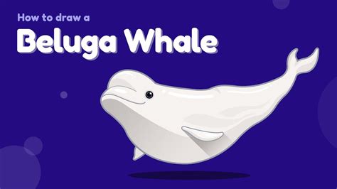 How to draw a sea animal - Beluga Whale? Easy and simple drawing ...