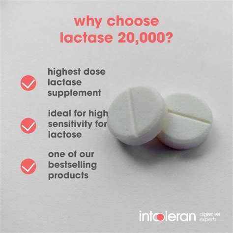 Lactase 20,000 - 50 tablets | Intoleran