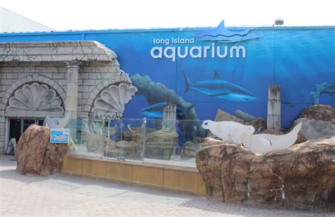 History & Facts about the Long Island Aquarium