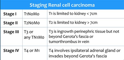 Stage 3 Renal Cell Cancer Prognosis - CancerWalls