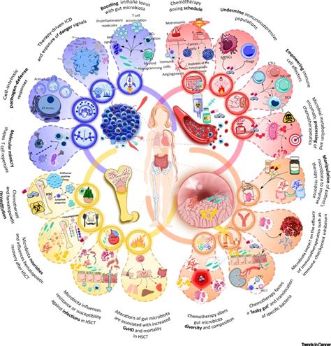 Novel Forms of Immunomodulation for Cancer Therapy: Trends in Cancer