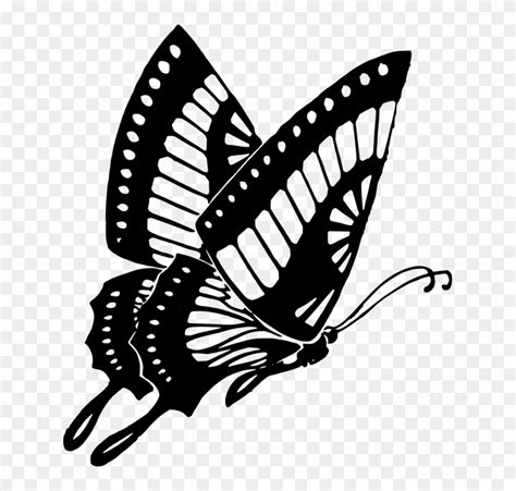 Butterfly Vector Art 14, Buy Clip Art - Butterfly Clipart Black And White - Free Transparent PNG ...