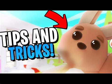 5 best Eggs in Roblox Adopt Me