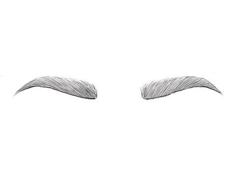 How To Draw Eyebrows Art