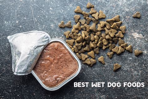 8 Best Wet Dog Food 2022 - Vet Recommended