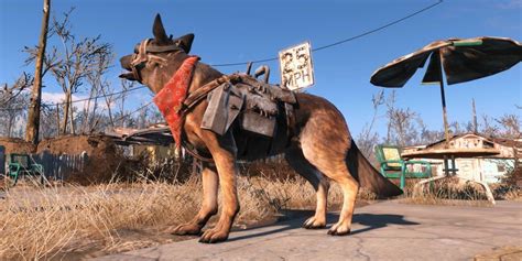 Important Things To Know About Dogmeat In Fallout 4