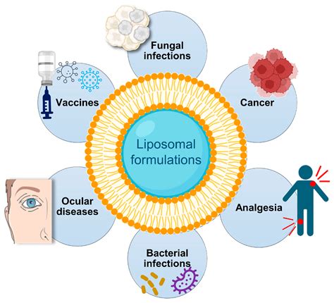 Advancing Medicine with Lipid-Based Nanosystems—The Successful Case of Liposomes