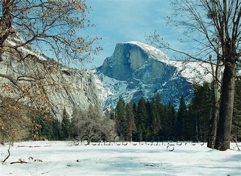 Half Dome in Snow - Scenic Settings