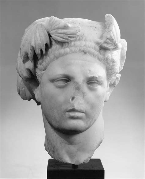 Portrait head of the Emperor Domitian idealized as Hercules | Museum of Fine Arts, Boston