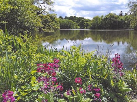 Stunning garden that hides a deadly secret opens its gates this weekend | Shropshire Star