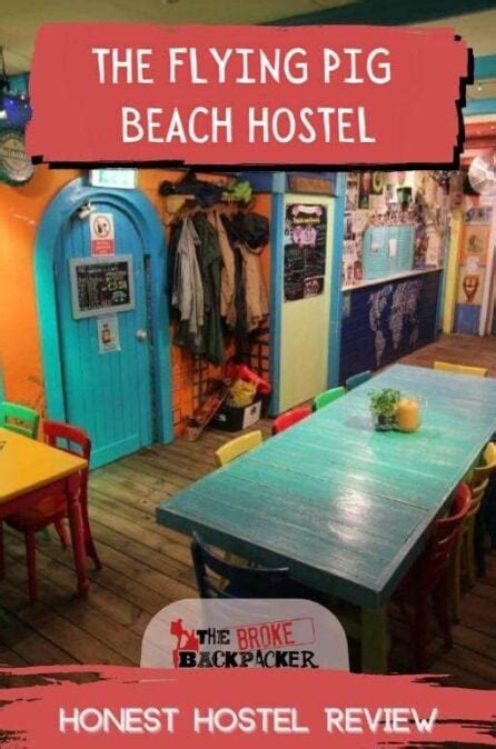 The Flying Pig Beach Hostel | 2024 Review