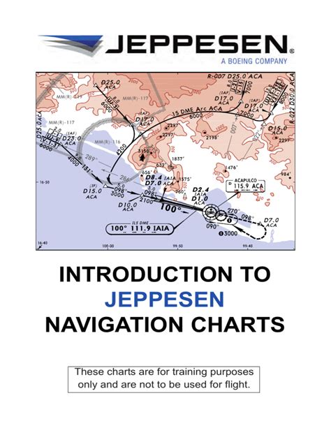 Jeppesen Chart Viewer