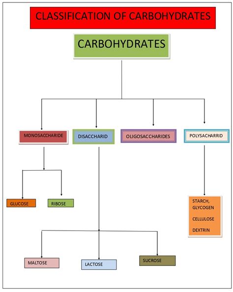 CARBOHYDRATES, CLASSIFICATION OF CARBOHYDRATES AND ITS USES