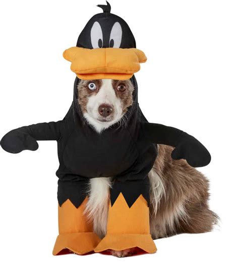 Daffy Duck Looney Tunes Dog & Cat Costume - Pet Costume Center