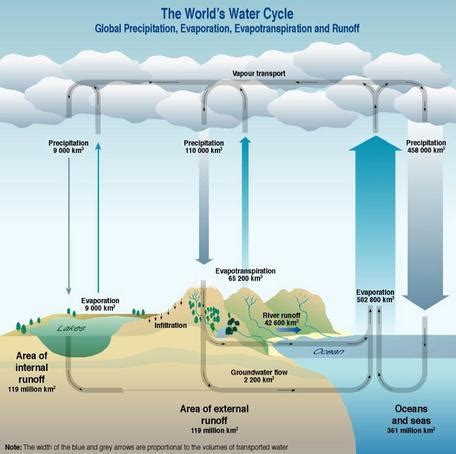 1B: Water in Motion