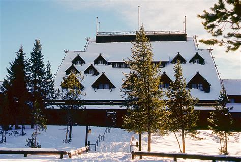 Yellowstone Winter