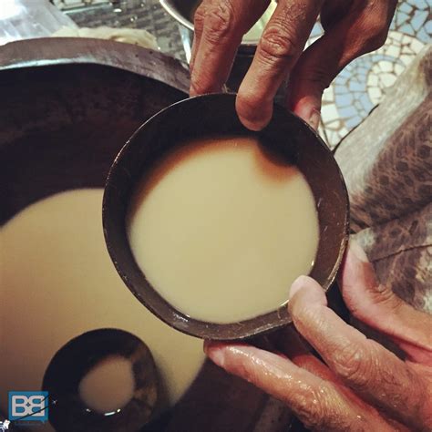 Why You Should Definitely Get Kava Drunk In Fiji! | Backpacker Banter