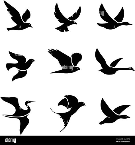 set of flying bird logo vector concept, creative Flying Bird Logo design vector template Stock ...