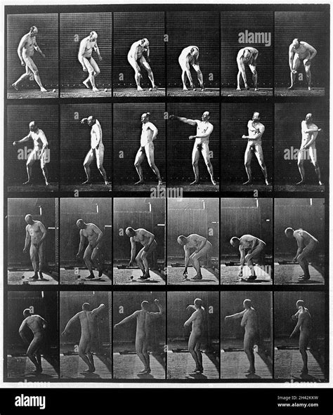 E. Muybridge "Animal locomotion", plate Stock Photo - Alamy