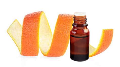 Orange Burps - 100% Natural Supplement for Heartburn and Acid Reflex