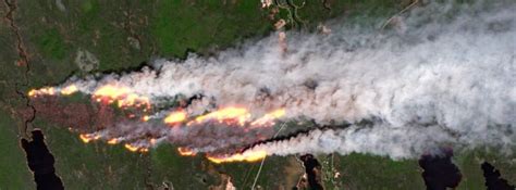 Massive wildfires destroy hundreds of homes in Nova Scotia, force thousands to evacuate, Canada ...