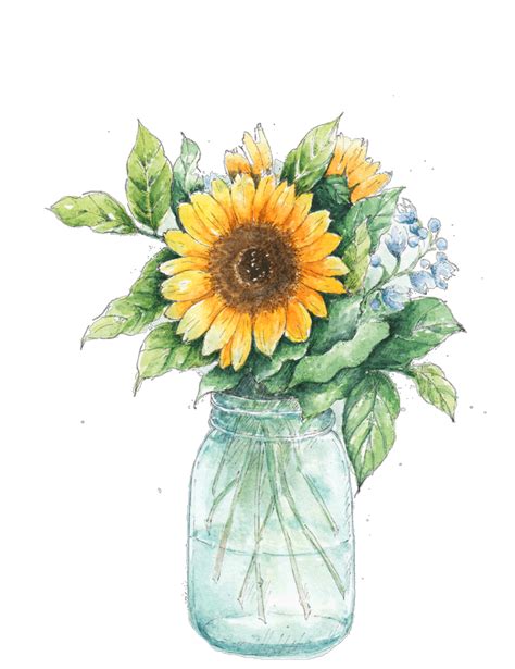 Jar clipart sunflower, Jar sunflower Transparent FREE for download on ...