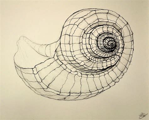 1000+ images about el espiral, geometría, fibonacci on Pinterest ...