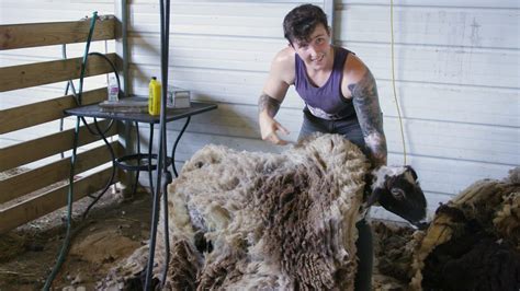 What it takes to make $80,000 shearing sheep in Seguin, Texas