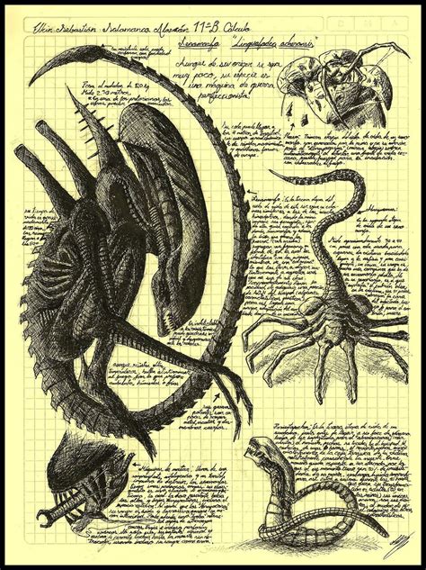 JIMSMASH ! ! !: ALIEN LIFE CYCLE, DA VINCI STYLE | Giger alien, Alien artwork, Alien art