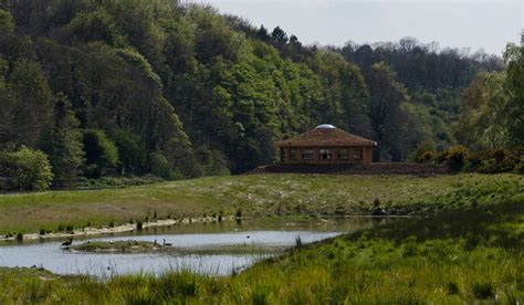 Autumn Adventures at Washington Wetland Centre | Living North