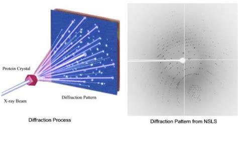 Research: Protein Crystallography: D i f f r a c t i o n