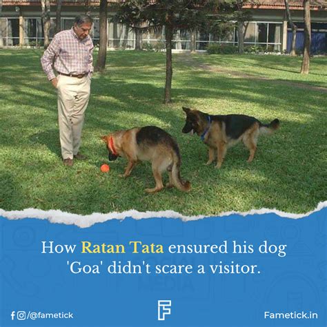 How Ratan Tata ensured his dog 'Goa' didn't scare a visitor. | Ratan ...