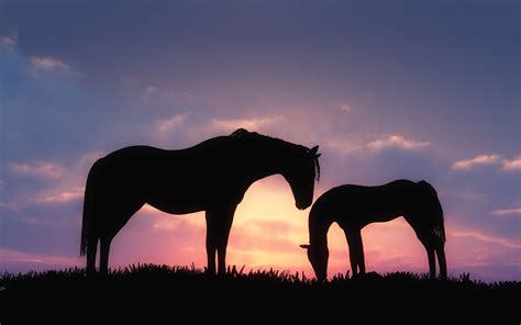 Horses In Sunset Wallpapers - Wallpaper Cave