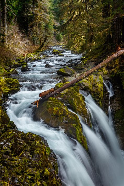 Sol Duc Falls Trail | Photographing Earth