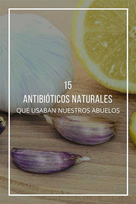 15 Antibióticos Naturales