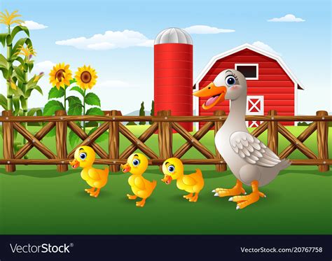 Cartoon duck family in farm Royalty Free Vector Image