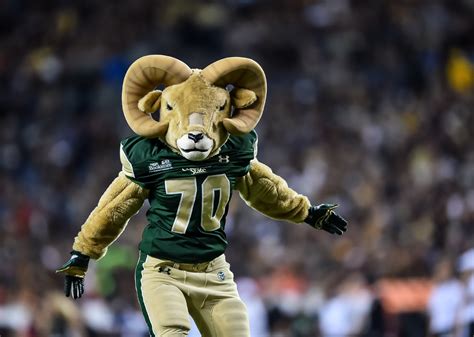 10 of the most popular live animal college mascots on social media ...