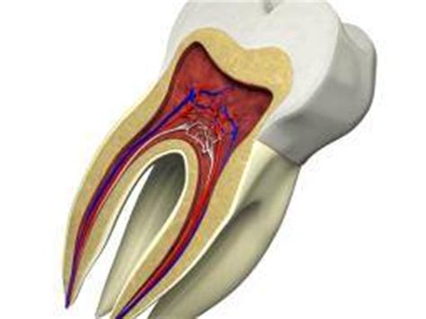 Tooth enamel structure and composition revealed in 3-D nanoscale maps