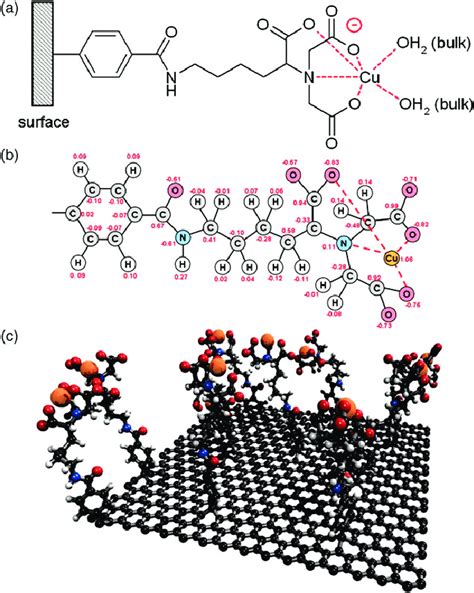 (a) Modified nitrilotriacetic acid (NTA) complexed by Cu(II) cation ...