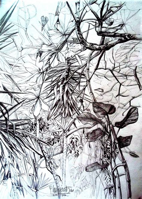 Hidden Bird. Drawing by Patricia Coenjaerts | Saatchi Art