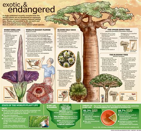 Endangered plants, Plants, Plant species