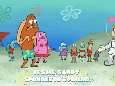 Sandy-spongebob GIFs - Get the best GIF on GIPHY